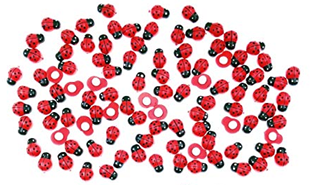 Bild von Streukäfer rot