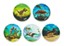 Bild von Klettie-Set Dinosaurier 5-tlg.