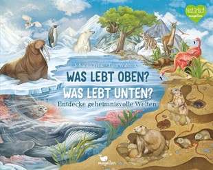 Bild von Prinz, Johanna: Was lebt oben? Was lebt unten?