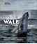 Bild von Skerry, Brian: Das geheime Leben der Wale