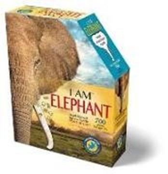 Bild von Shape Puzzle Elefant 700