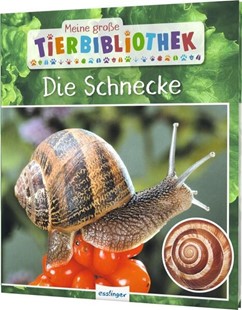 Bild von Starosta, Paul: Meine große Tierbibliothek: Die Schnecke