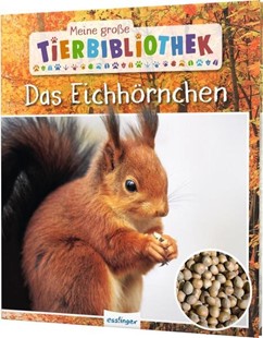 Bild von Ledu-Frattini, Stéphanie: Meine große Tierbibliothek: Das Eichhörnchen
