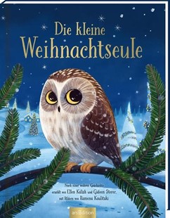 Bild von Kalish, Ellen: Die kleine Weihnachtseule