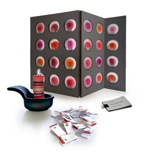 Bild von Meyer, Thomas: Literarischer Adventskalender