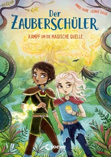 Bild von Taube, Anna: Der Zauberschüler (Band 4) - Kampf um die Magische Quelle