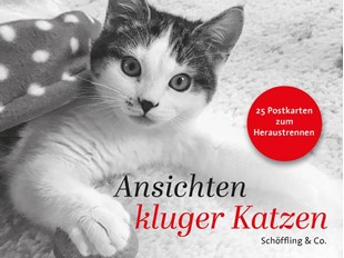Bild von Bachstein, Julia (Hrsg.): Ansichten kluger Katzen