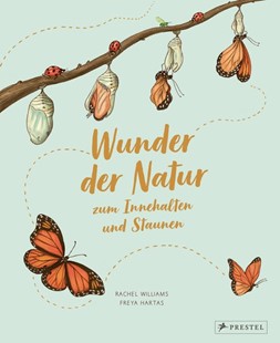 Bild von Williams, Rachel: Wunder der Natur zum Innehalten und Staunen