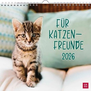 Bild von Groh Verlag (Hrsg.): Wandkalender 2026: Für Katzenfreunde