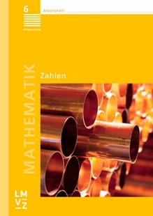 Bild von Autorenteam: Mathematik 6 Primarstufe / Arbeitshefte