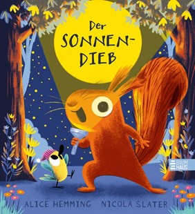 Bild von Hemming, Alice: Der Sonnendieb