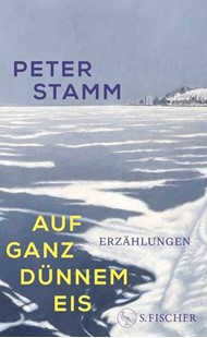 Bild von Stamm, Peter: Auf ganz dünnem Eis