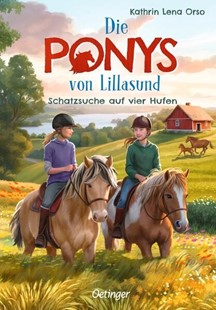 Bild von Orso, Kathrin Lena: Die Ponys von Lillasund 2. Schatzsuche auf vier Hufen