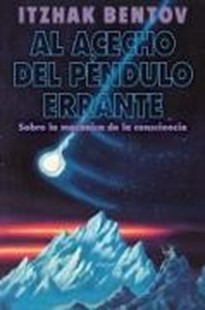 Bild von Bentov, Itzhak: Al acecho del péndulo errante (eBook)