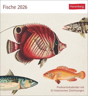 Bild von Fische Postkartenkalender 2026 - Postkartenkalender mit 53 historischen Zeichnungen