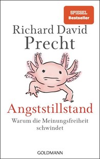 Bild von Precht, Richard David: Angststillstand