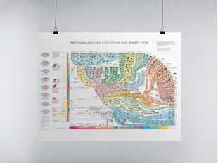 Bild von Escher, Arthur: Wirbeltieratlas (Poster)