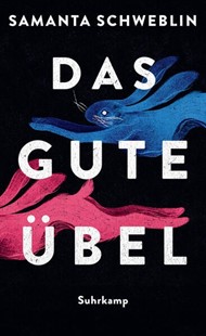 Bild von Schweblin, Samanta: Das gute Übel