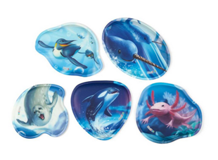 Bild von Kontur-Kletties-Set 5-tlg. Unterwasser