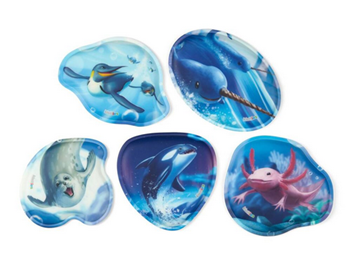 Bild von Kontur-Kletties-Set 5-tlg. Unterwasser