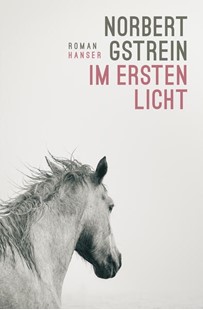 Bild von Gstrein, Norbert: Im ersten Licht