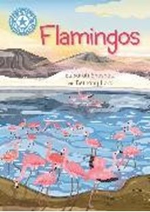 Bild von Snashall Sarah: Reading Champion: Flamingos