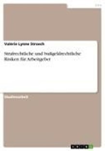 Bild von Stroech, Valérie Lynne: Strafrechtliche und bußgeldrechtliche Risiken für Arbeitgeber (eBook)